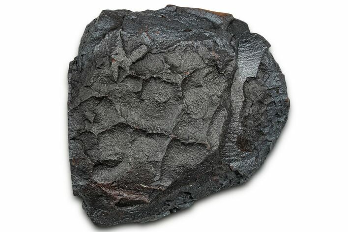 Dragon Scale Stone (Iron, Manganese, Siderite Nodule) #330272